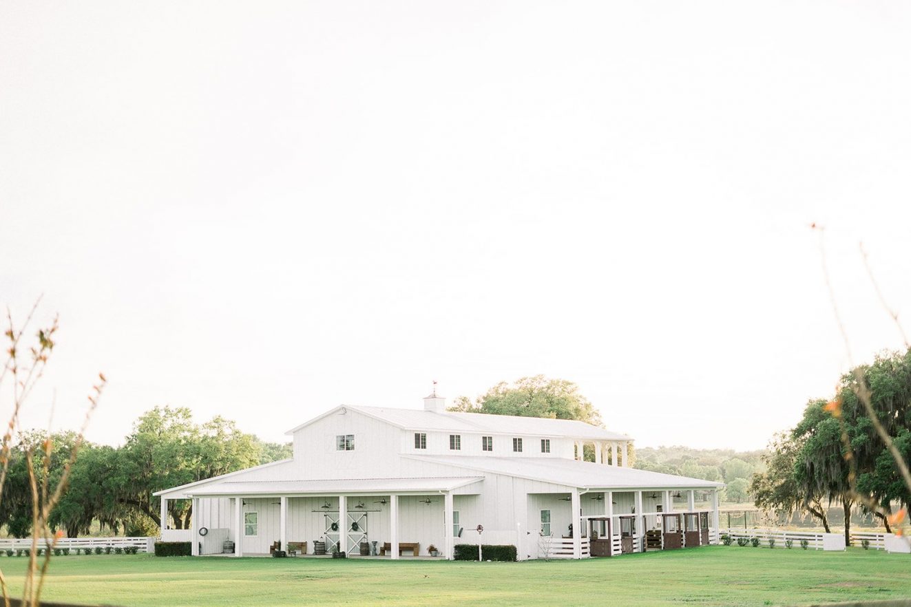 Alexandria Tyler Covington Farms Tampa Florida Wedding Fine Art Wedding Photography Rachel Elle Photography 389 websize