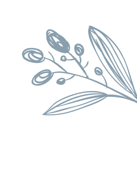 sec1 a leaf