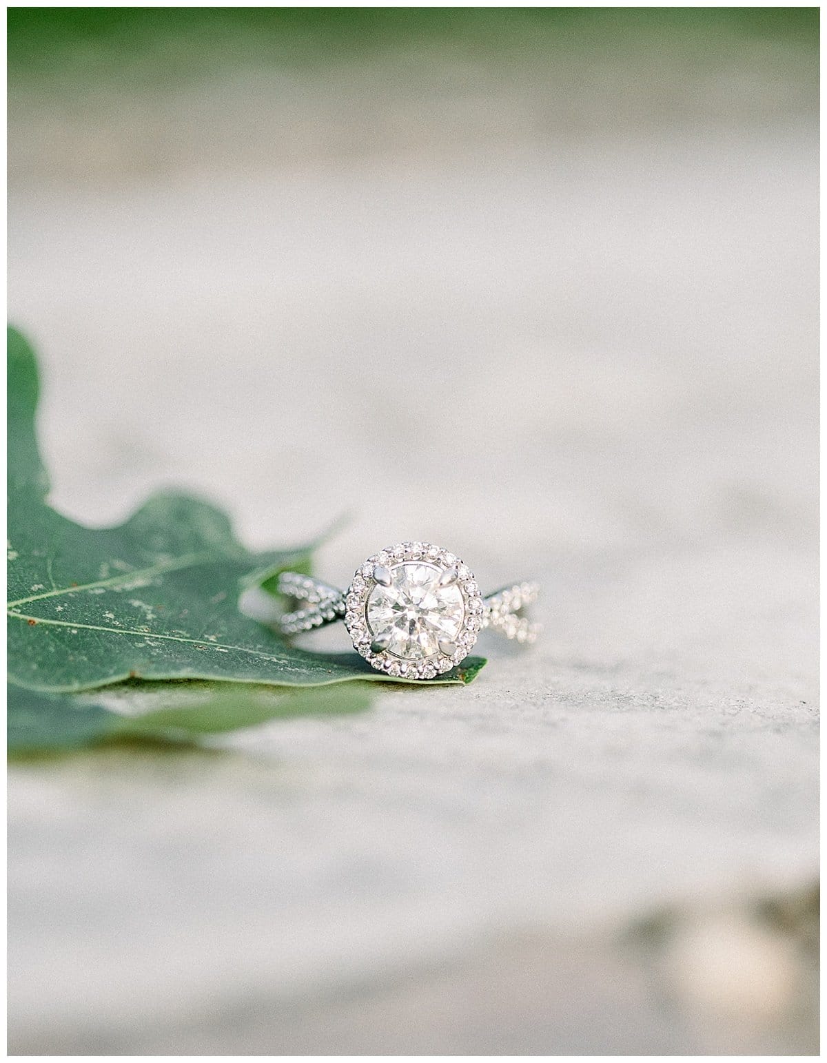 Como Park Engagement Session Lauren Adam Minneapolis Wedding Photographer Twin Cities Wedding Photography Rachel Elle Photography84